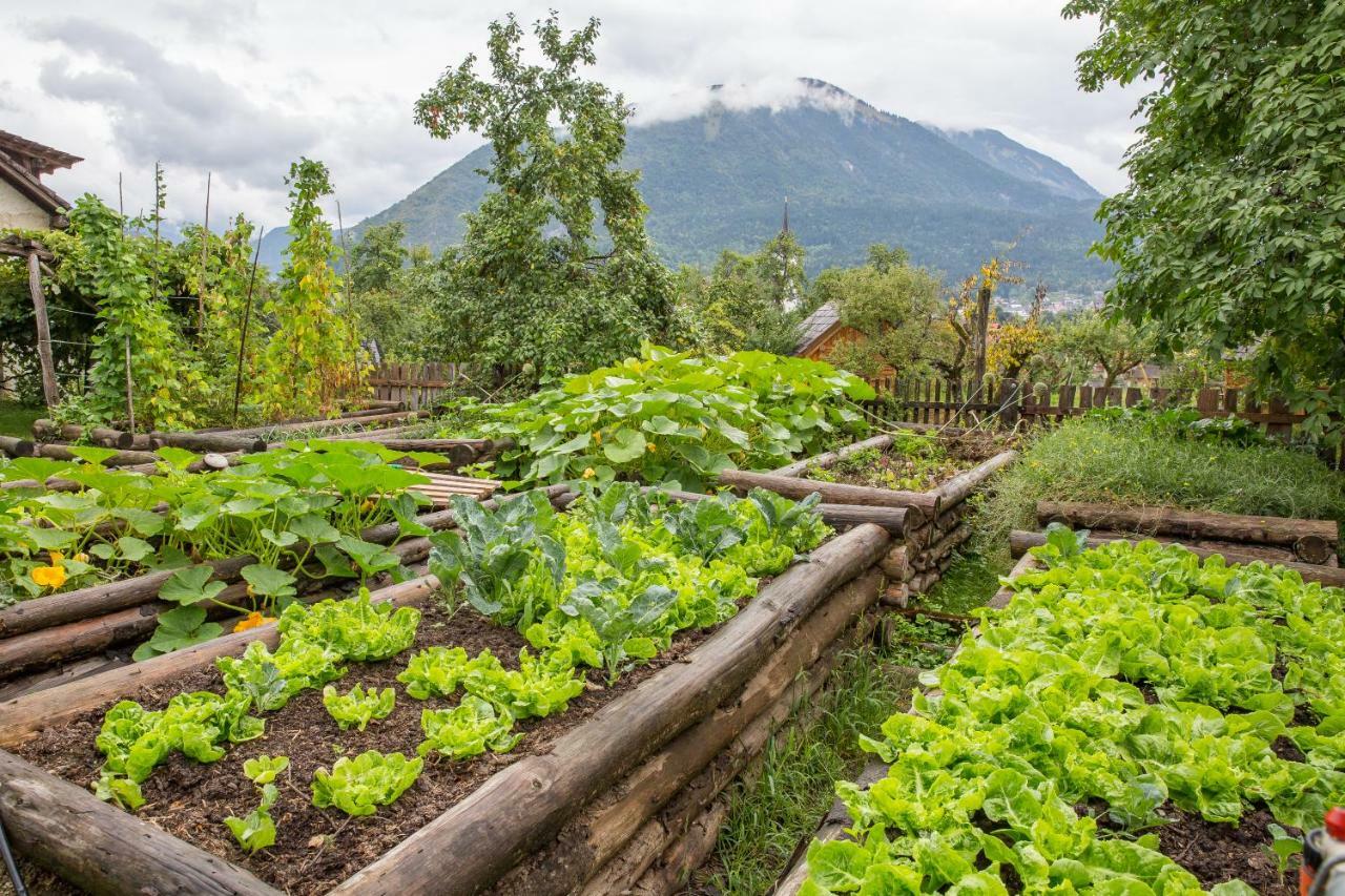 Glamping Organic Farm Slibar Villa Tržič Exterior foto